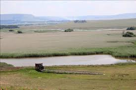 SEEKOEIVLEI NATURE RESERVE